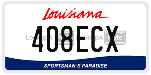408ECX  license plate in LA