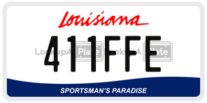 411FFE  license plate in LA