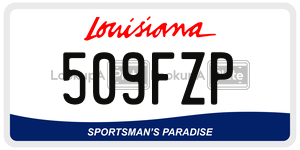 509FZP  license plate in LA