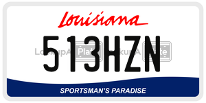 513HZN  license plate in LA
