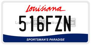516FZN  license plate in LA