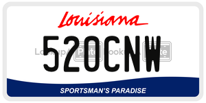 520CNW  license plate in LA