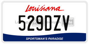 529DZV  license plate in LA