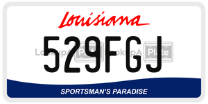 529FGJ  license plate in LA