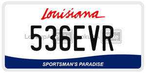 536EVR  license plate in LA