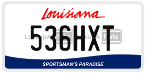 536HXT  license plate in LA