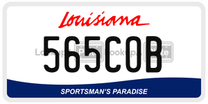 565COB  license plate in LA