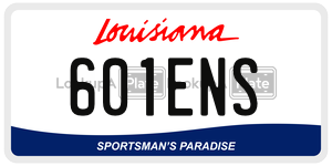 601ENS  license plate in LA