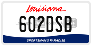 602DSB  license plate in LA