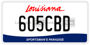 605CBD  license plate in LA
