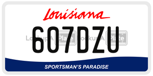 607DZU  license plate in LA