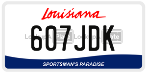 607JDK  license plate in LA