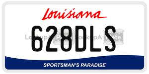 628DLS  license plate in LA