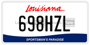 698HZL  license plate in LA