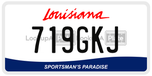 719GKJ  license plate in LA