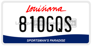 810GQS  license plate in LA