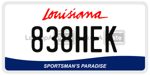 838HEK  license plate in LA