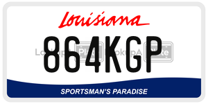 864KGP  license plate in LA