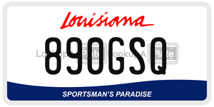 890GSQ  license plate in LA