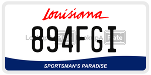 894FGI  license plate in LA
