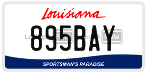 895BAY  license plate in LA