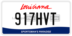 917HVT  license plate in LA