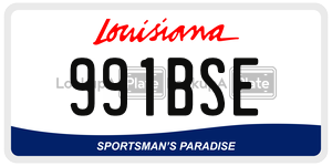 991BSE  license plate in LA