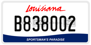 B838002  license plate in LA