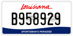 B958929  license plate in LA