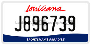 J896739  license plate in LA