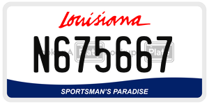 N675667  license plate in LA