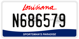 N686579  license plate in LA