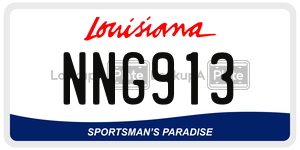 NNG913  license plate in LA