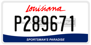 P289671  license plate in LA