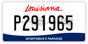 P291965  license plate in LA
