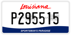 P295515  license plate in LA