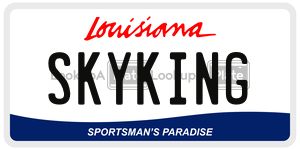SKYKING  license plate in LA