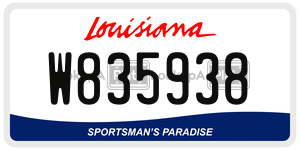 W835938  license plate in LA