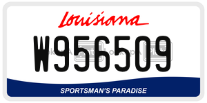 W956509  license plate in LA
