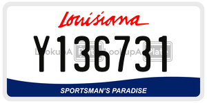 Y136731  license plate in LA