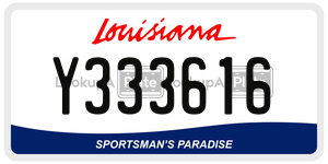Y333616  license plate in LA