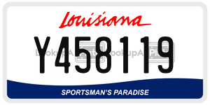 Y458119  license plate in LA