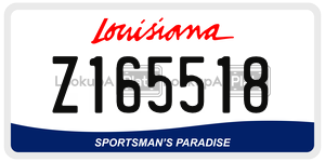 Z165518  license plate in LA