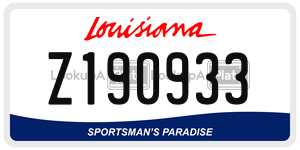 Z190933  license plate in LA
