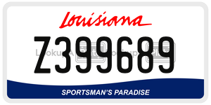 Z399689  license plate in LA