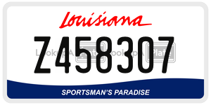 Z458307  license plate in LA