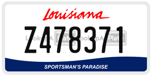 Z478371  license plate in LA