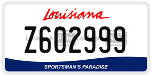 Z602999  license plate in LA