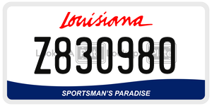 Z830980  license plate in LA