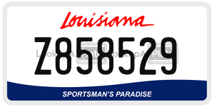 Z858529  license plate in LA